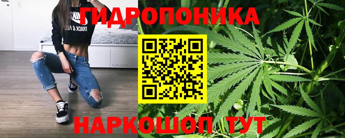 Каннабис семена  Шишки марихуана Ganja  Курчатов  Конопля конопля 
